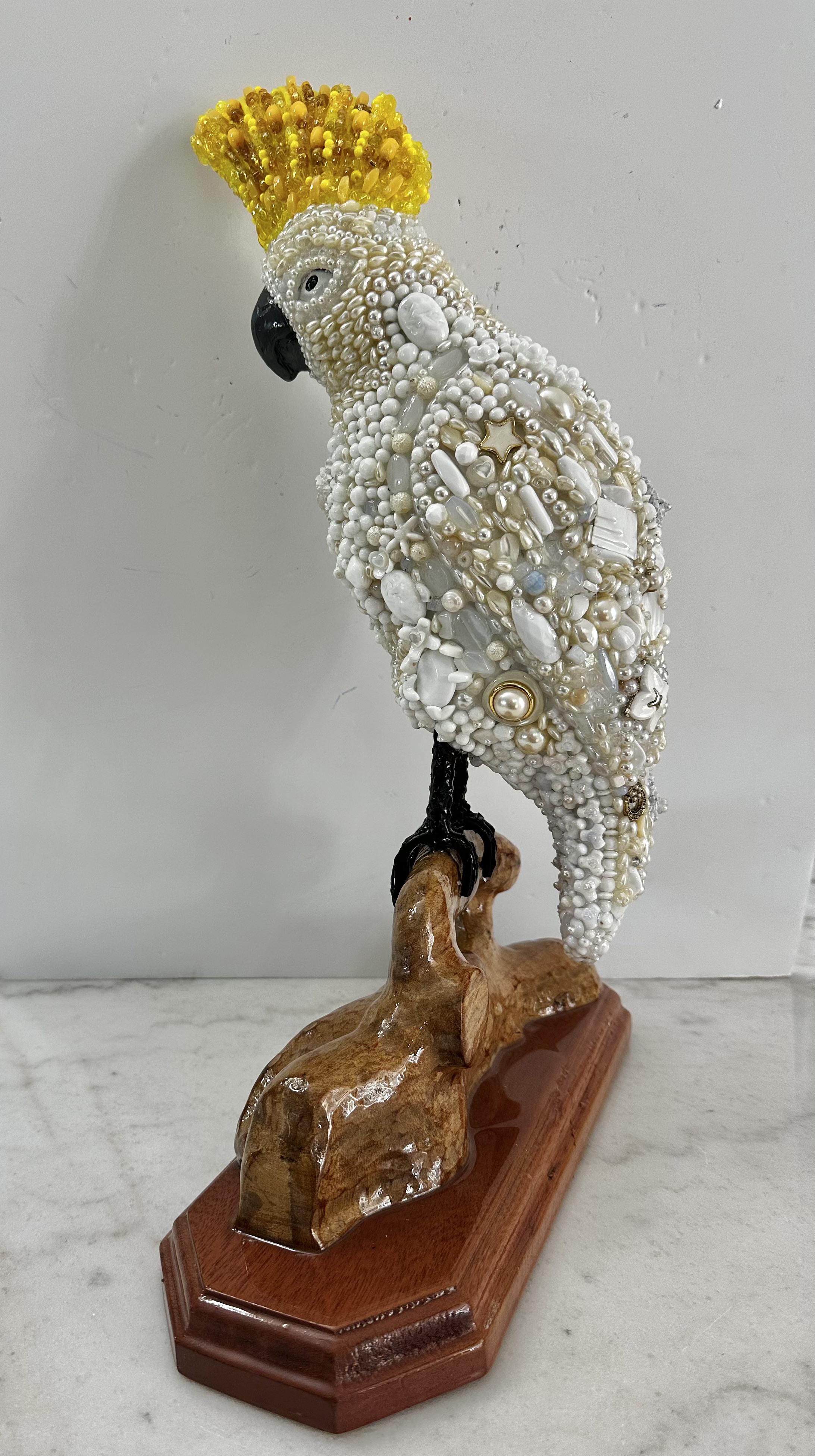 Bird Cockatiel "Barretta's Pal"