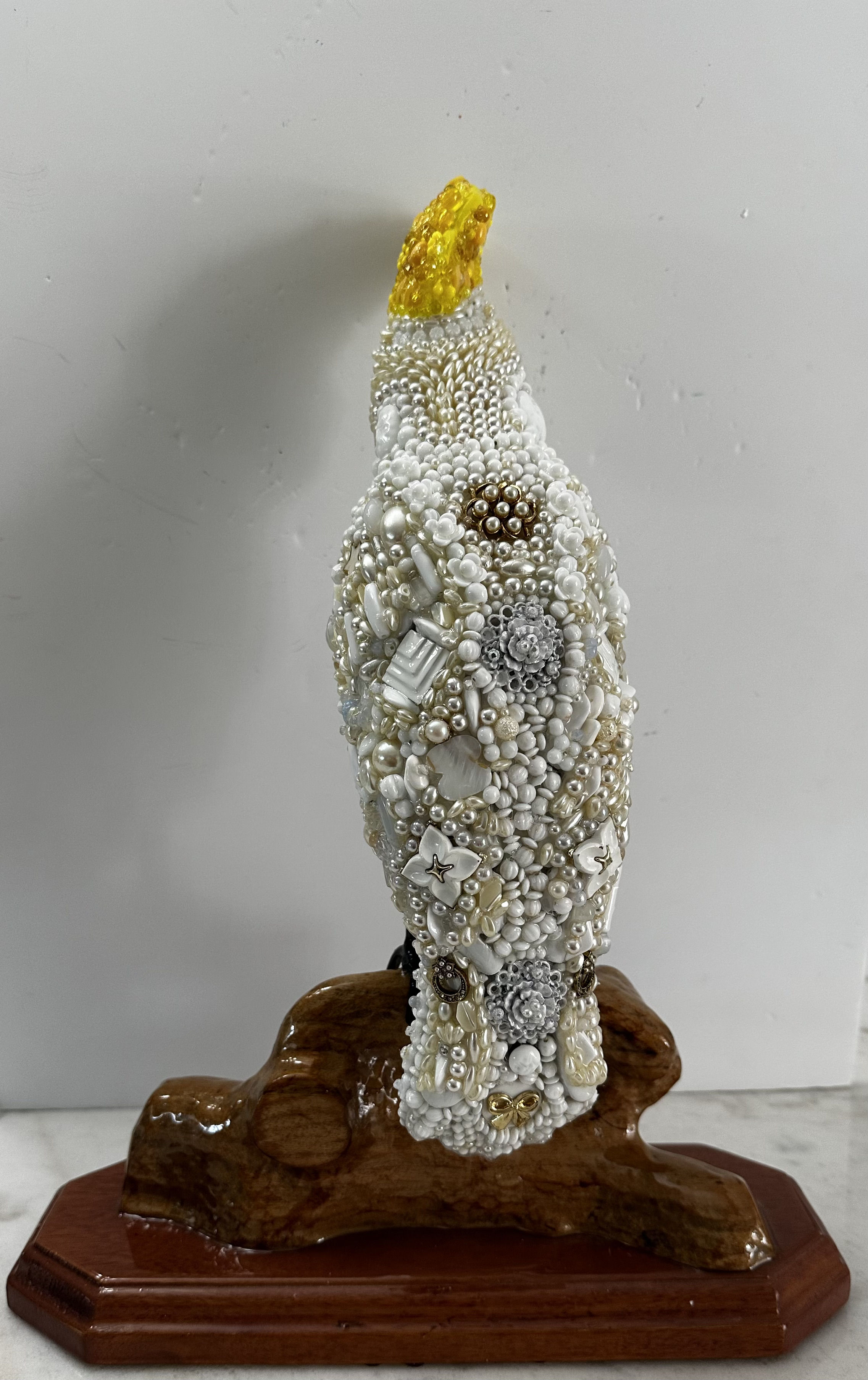 Bird Cockatiel "Barretta's Pal"